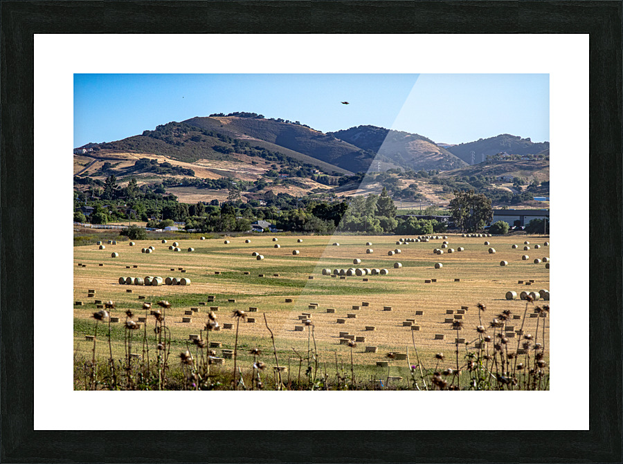 Haaaaay Picture Frame print
