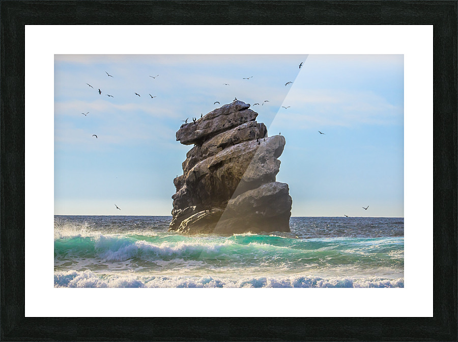 Bird Rock Picture Frame print