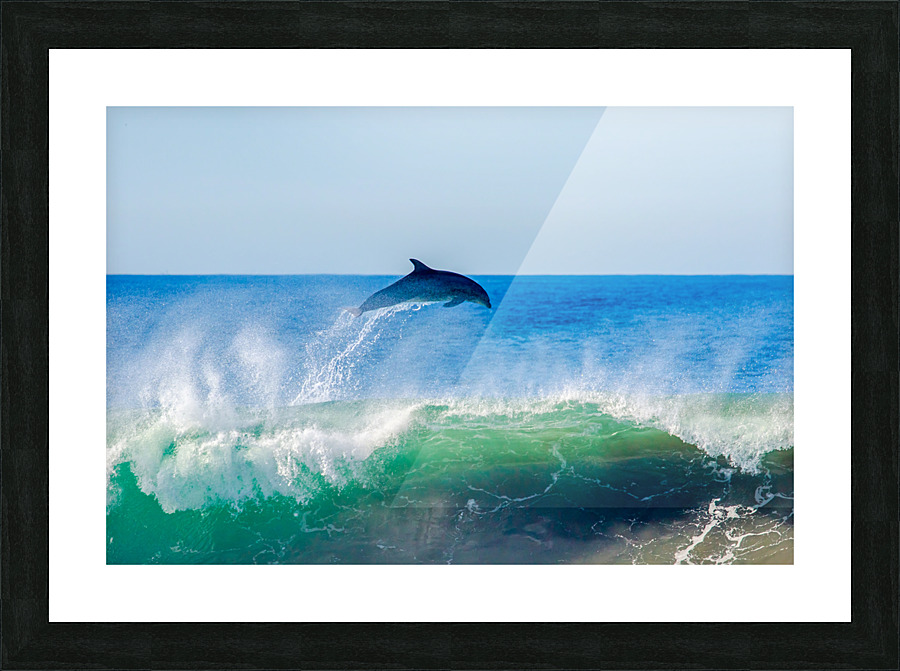 Dolphin Flyaway Picture Frame print