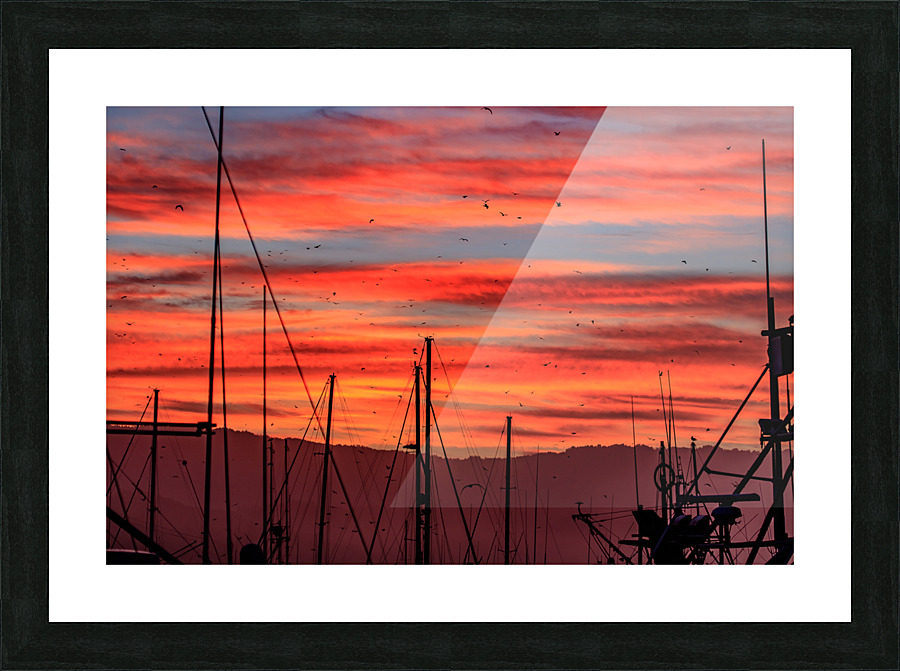 Harbor Sunrise Picture Frame print