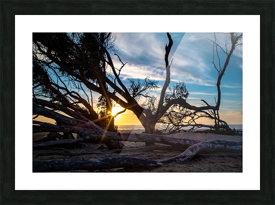 A Break in the wind Picture Frame print