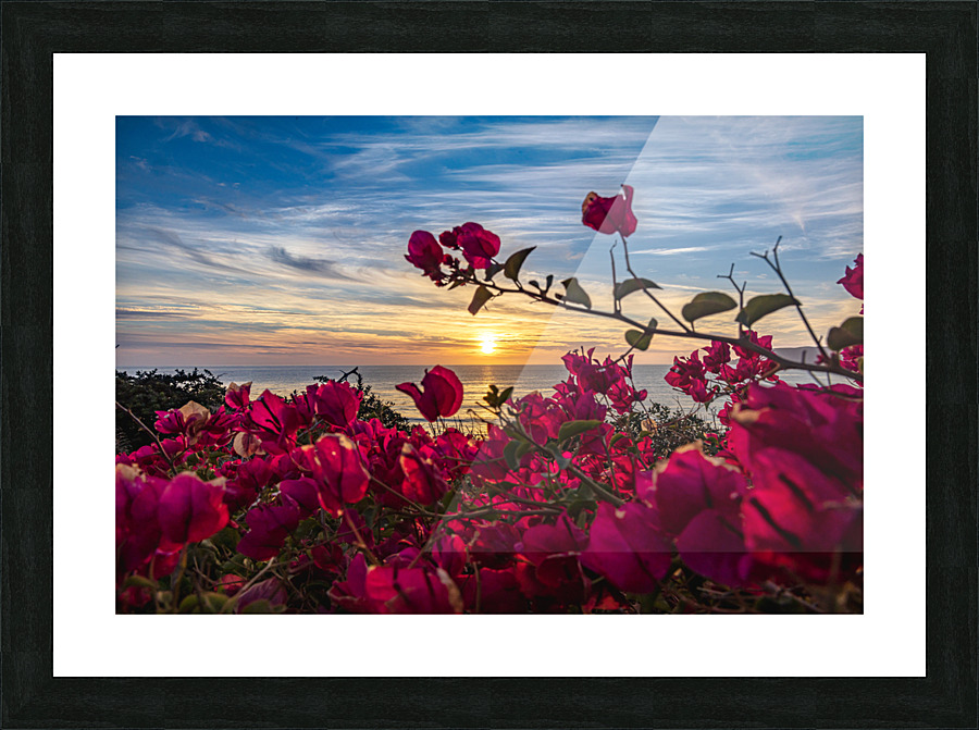 Boug Sunset3 Picture Frame print