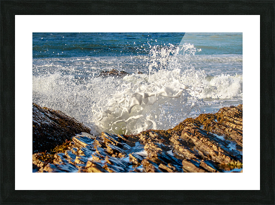 Reef Foam Picture Frame print