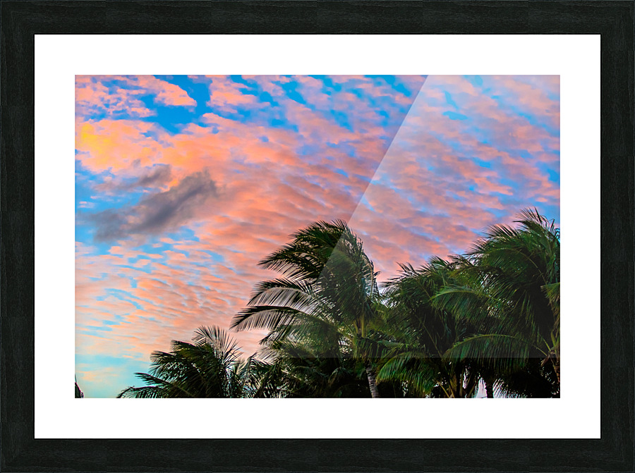 Palm Sunset Picture Frame print