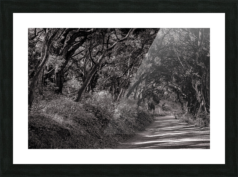 Road to Nowhere Picture Frame print