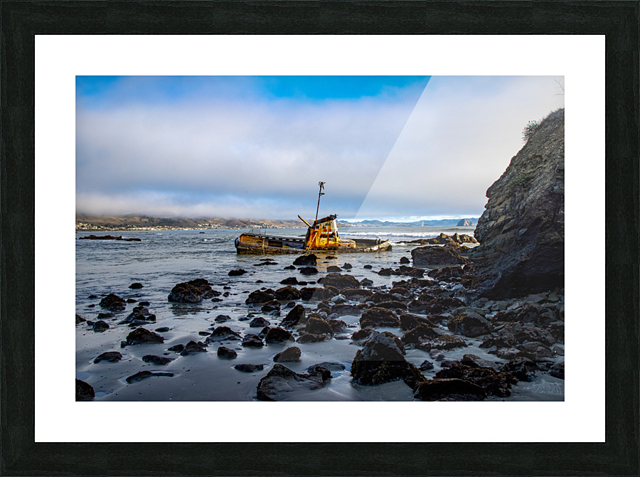 Reef Wreckage Picture Frame print