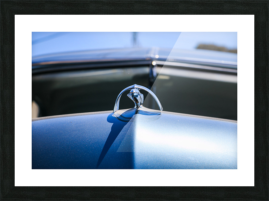 Merc Ornament Picture Frame print