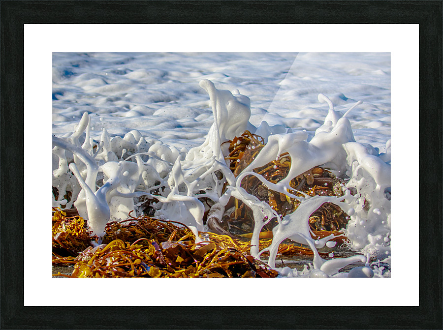 Seafoam Picture Frame print