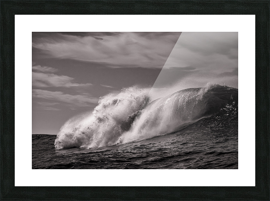 The Lion Picture Frame print