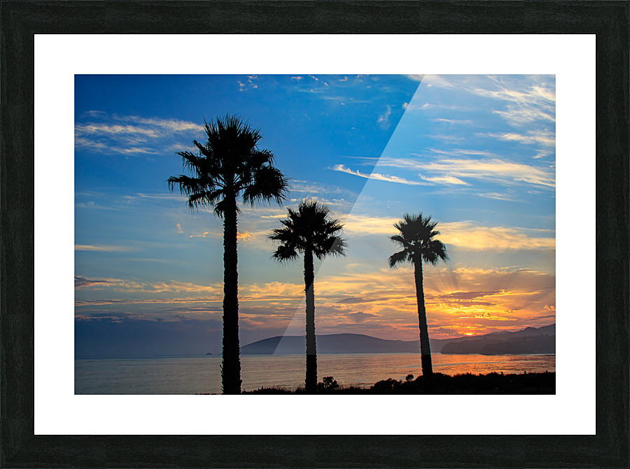 Tree Amigos Picture Frame print