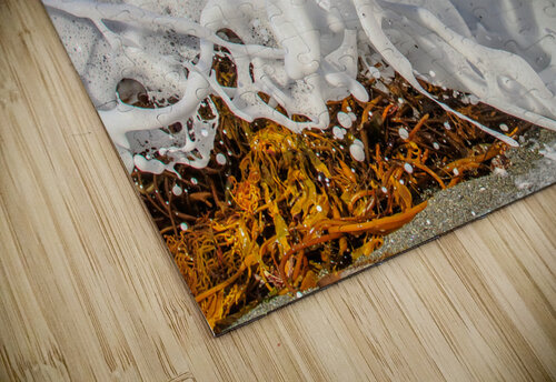 Froth RunAmuck Photography puzzle