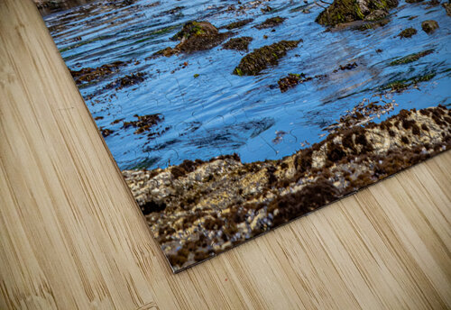 Egret Tidepool RunAmuck Photography puzzle