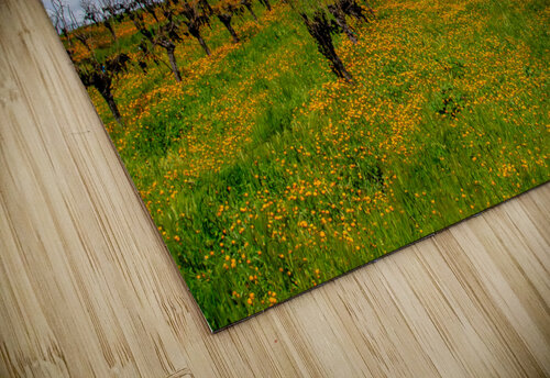 Flowery Vineyard RunAmuck Photography puzzle