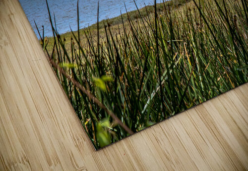Grassy Rock RunAmuck Photography puzzle