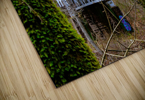 Hidden Bridge RunAmuck Photography puzzle