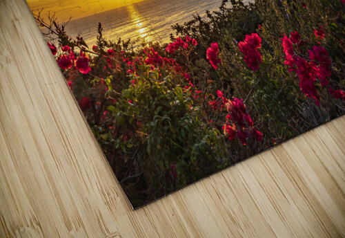 Boug sunset2 RunAmuck Photography puzzle