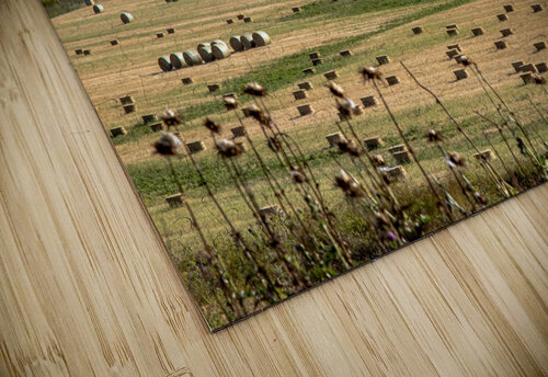 Haaaaay RunAmuck Photography puzzle