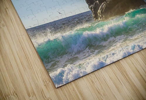 Bird Rock RunAmuck Photography puzzle