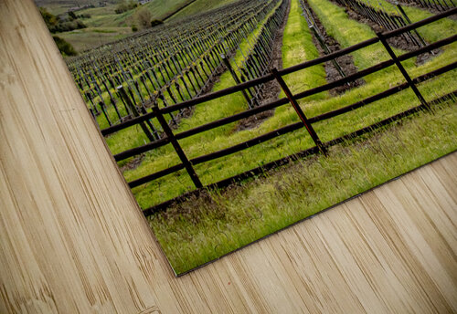 Cloudy Vineyard RunAmuck Photography puzzle