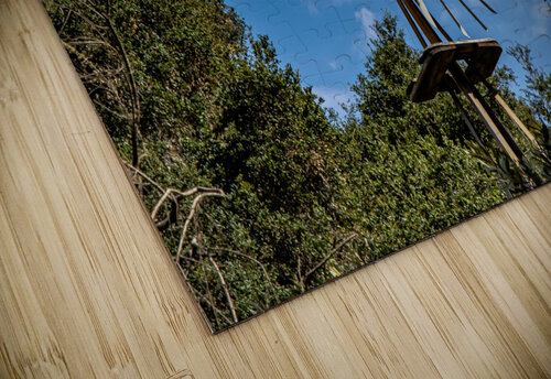 Got Water RunAmuck Photography puzzle