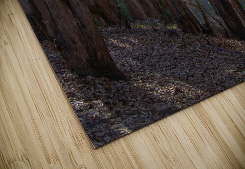 Hazzard Woods RunAmuck Photography puzzle