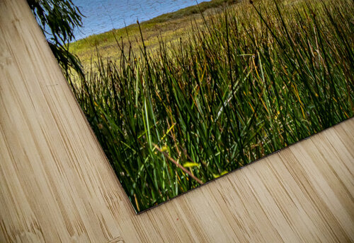 Estuary Rock RunAmuck Photography puzzle