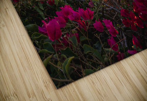 Boug sunset1 RunAmuck Photography puzzle