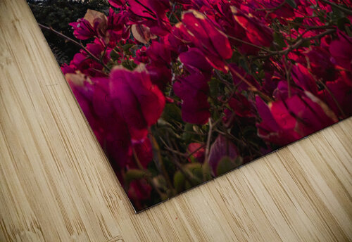 Boug Sunset3 RunAmuck Photography puzzle