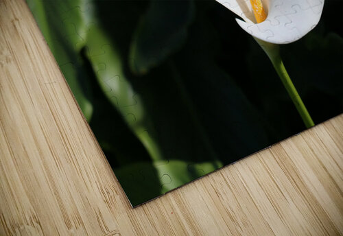 Lily RunAmuck Photography puzzle