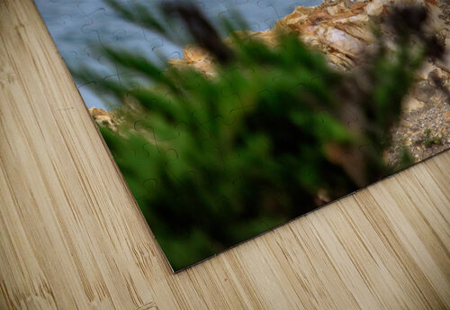 Osprey Profile RunAmuck Photography puzzle