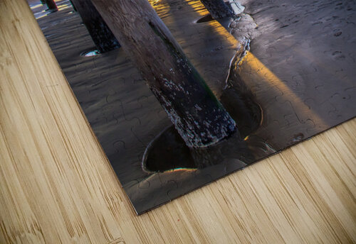 Pismo Rays RunAmuck Photography puzzle