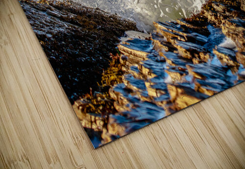 Reef Foam RunAmuck Photography puzzle