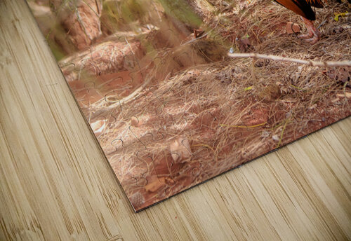Rooster RunAmuck Photography puzzle