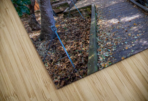 Rose s Garden RunAmuck Photography puzzle