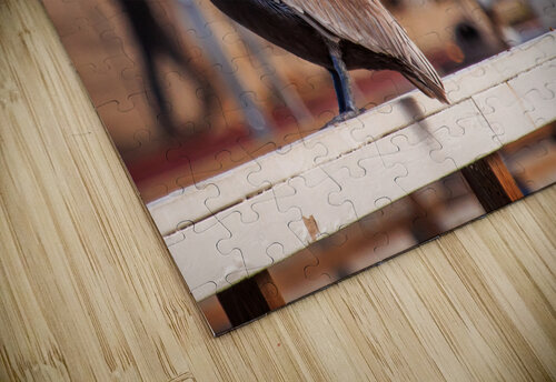 Pier Pelican RunAmuck Photography puzzle