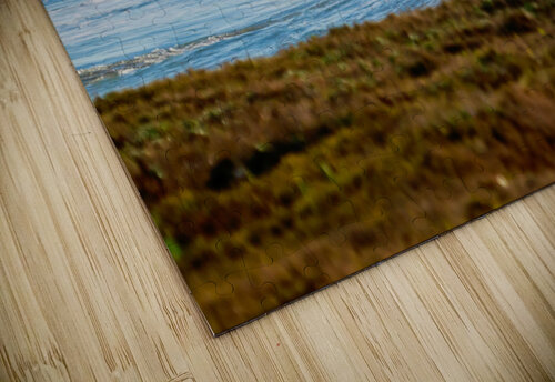 Lighthouse Wave RunAmuck Photography puzzle