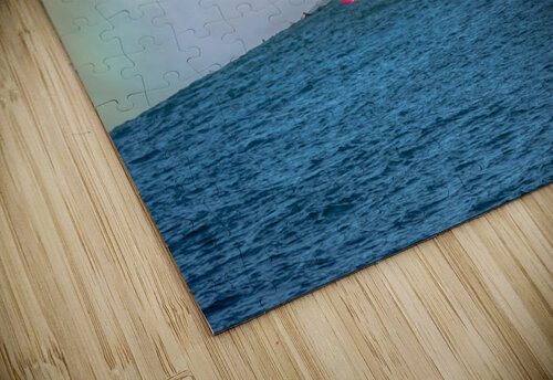 Mavs Mane RunAmuck Photography puzzle