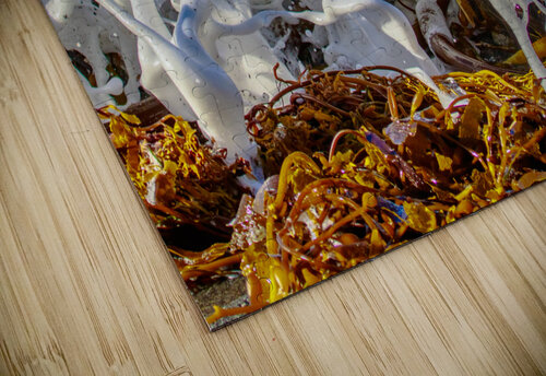 Seafoam RunAmuck Photography puzzle