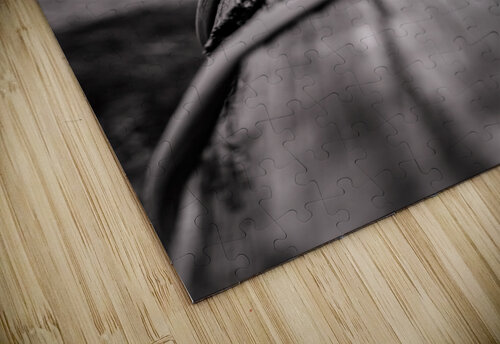 wrapped log RunAmuck Photography puzzle