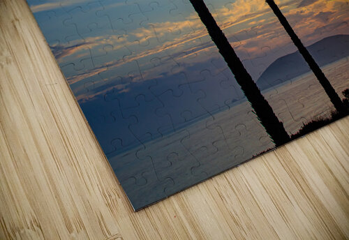 Tree Amigos RunAmuck Photography puzzle