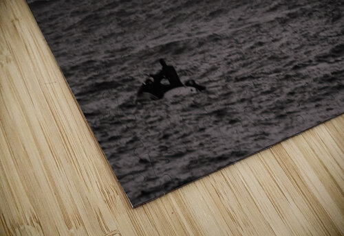 Mavs B W Seq 2 RunAmuck Photography puzzle