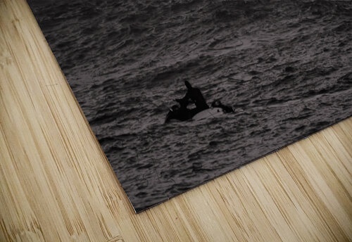 Mavs B W Seq 1 RunAmuck Photography puzzle
