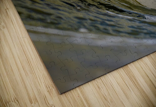 Under the lip RunAmuck Photography puzzle