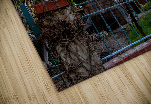 Shell Windmill RunAmuck Photography puzzle