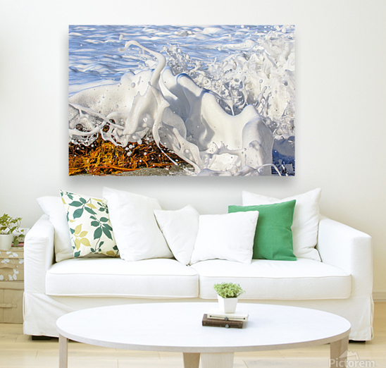 Froth Reproduction