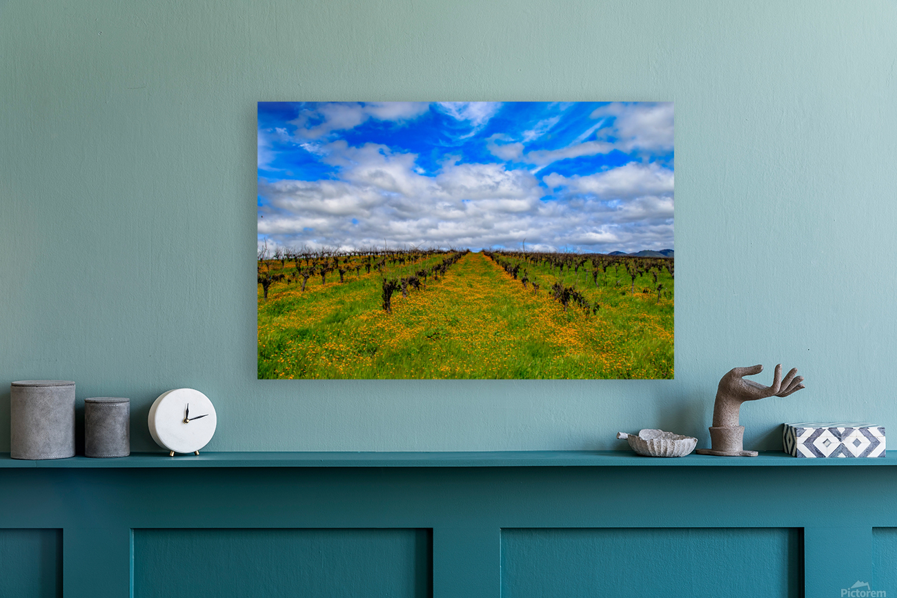 Flowery Vineyard Reproduction