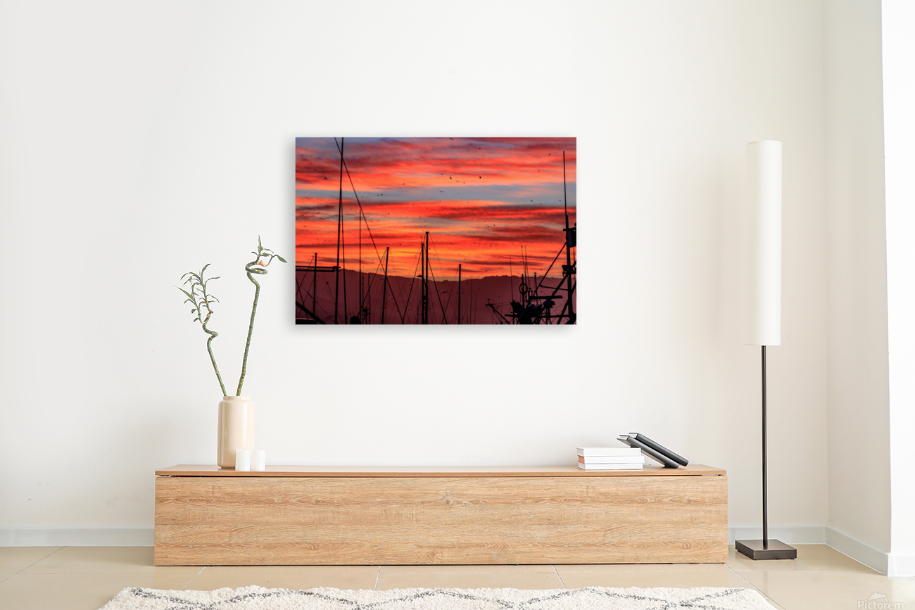 Harbor Sunrise Reproduction