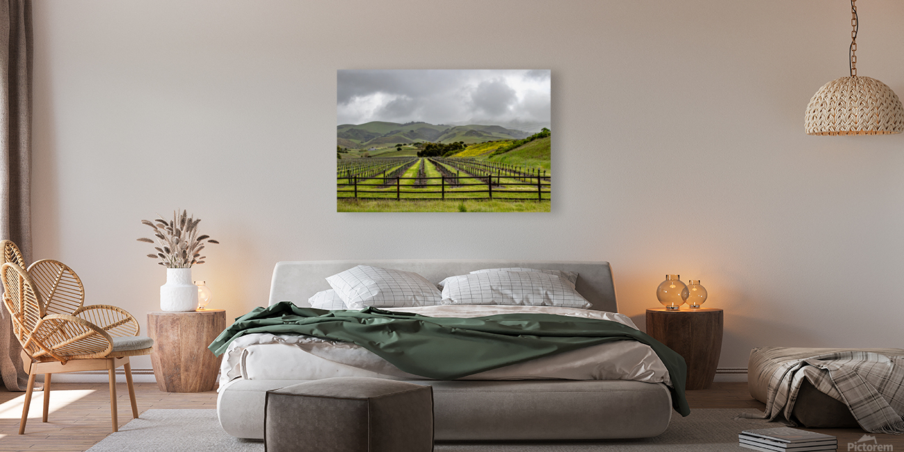 Cloudy Vineyard Reproduction