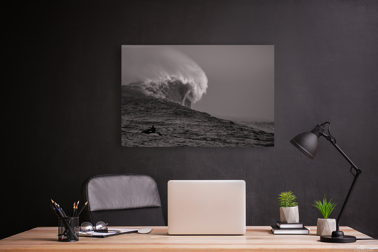 Mavs B W Seq 1 Reproduction