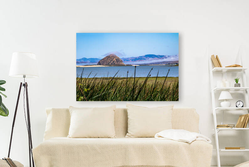Grassy Rock by RunAmuck Photography